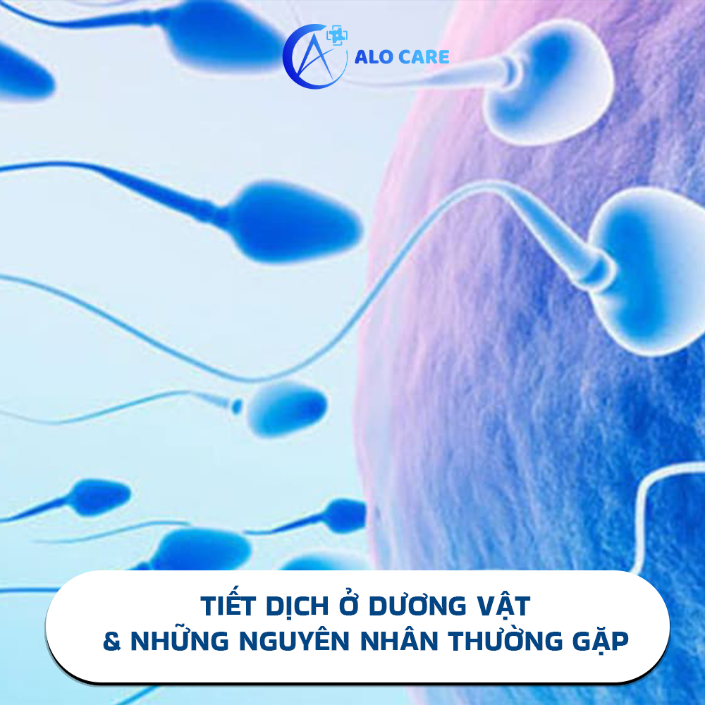 Tiết dịch ở dương vật và những nguyên nhân thường gặp